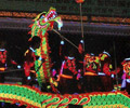 Luminous Dragon