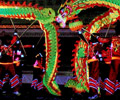 Luminous Dragon